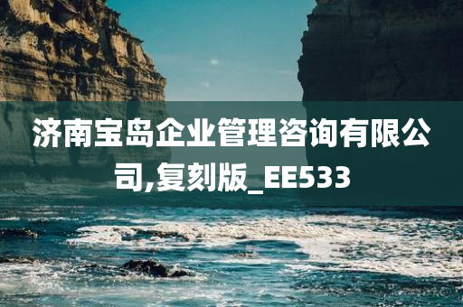 济南宝岛企业管理咨询有限公司,复刻版_EE533