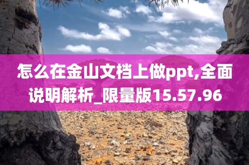 怎么在金山文档上做ppt,全面说明解析_限量版15.57.96