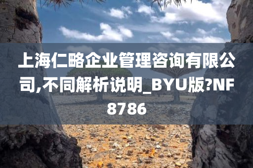 上海仁略企业管理咨询有限公司,不同解析说明_BYU版?NF8786