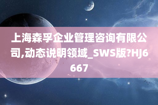 上海森孚企业管理咨询有限公司,动态说明领域_SWS版?HJ6667