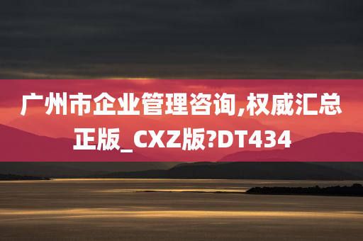 广州市企业管理咨询,权威汇总正版_CXZ版?DT434