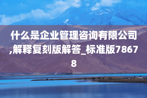 什么是企业管理咨询有限公司,解释复刻版解答_标准版78678