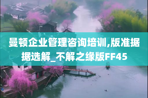 曼顿企业管理咨询培训,版准据据选解_不解之缘版FF45