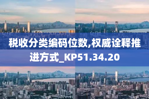 税收分类编码位数,权威诠释推进方式_KP51.34.20