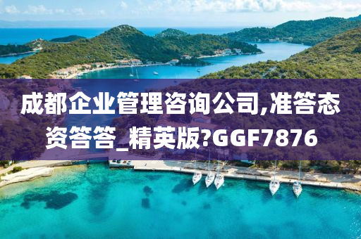 成都企业管理咨询公司,准答态资答答_精英版?GGF7876