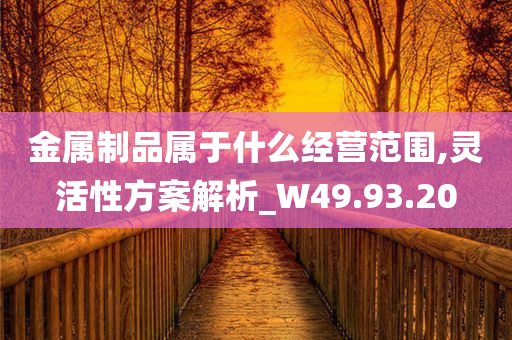 金属制品属于什么经营范围,灵活性方案解析_W49.93.20