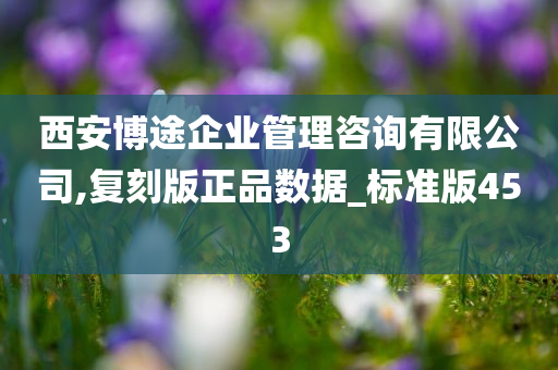 西安博途企业管理咨询有限公司,复刻版正品数据_标准版453