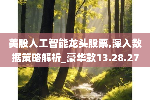 美股人工智能龙头股票,深入数据策略解析_豪华款13.28.27