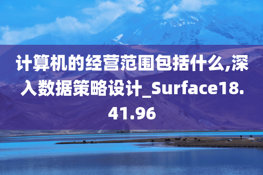 计算机的经营范围包括什么,深入数据策略设计_Surface18.41.96