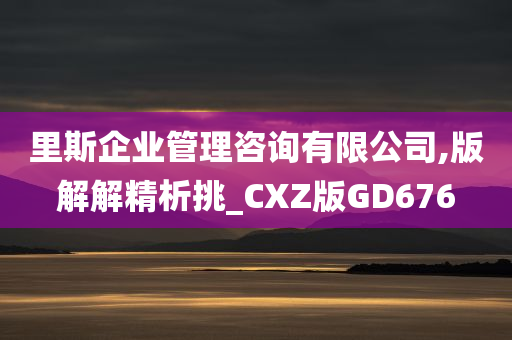 里斯企业管理咨询有限公司,版解解精析挑_CXZ版GD676