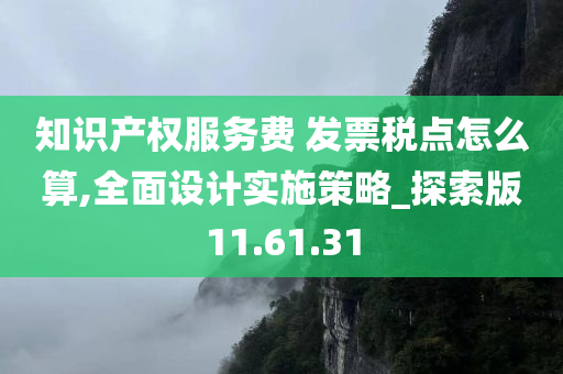 知识产权服务费 发票税点怎么算,全面设计实施策略_探索版11.61.31