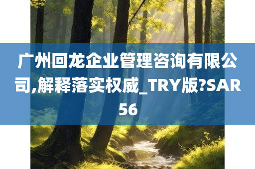 广州回龙企业管理咨询有限公司,解释落实权威_TRY版?SAR56