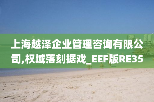 上海越泽企业管理咨询有限公司,权域落刻据戏_EEF版RE35