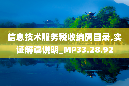 信息技术服务税收编码目录,实证解读说明_MP33.28.92