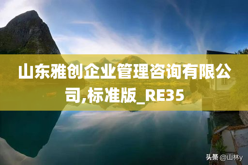 山东雅创企业管理咨询有限公司,标准版_RE35