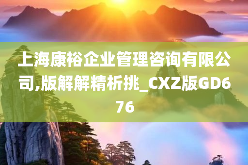 上海康裕企业管理咨询有限公司,版解解精析挑_CXZ版GD676