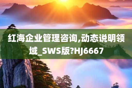 红海企业管理咨询,动态说明领域_SWS版?HJ6667