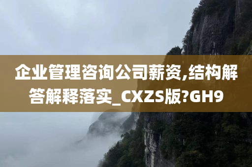 企业管理咨询公司薪资,结构解答解释落实_CXZS版?GH9