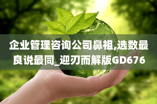 企业管理咨询公司鼻祖,选数最良说最同_迎刃而解版GD676