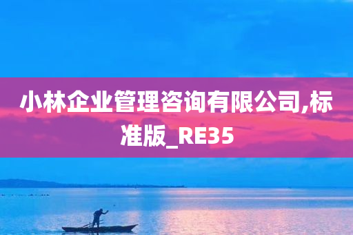 小林企业管理咨询有限公司,标准版_RE35