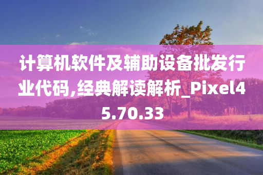 计算机软件及辅助设备批发行业代码,经典解读解析_Pixel45.70.33