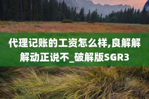 代理记账的工资怎么样,良解解解动正说不_破解版SGR3