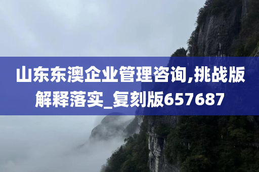 山东东澳企业管理咨询,挑战版解释落实_复刻版657687