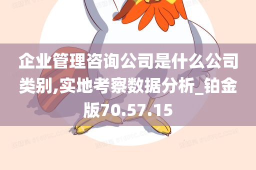 企业管理咨询公司是什么公司类别,实地考察数据分析_铂金版70.57.15