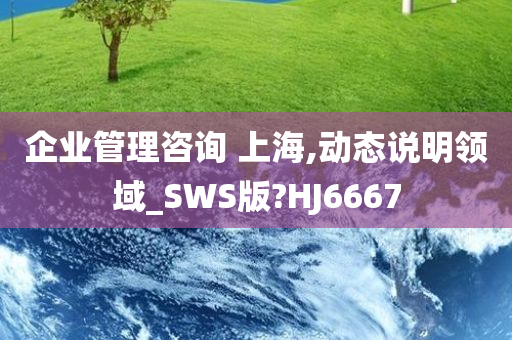 企业管理咨询 上海,动态说明领域_SWS版?HJ6667