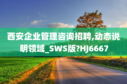 西安企业管理咨询招聘,动态说明领域_SWS版?HJ6667