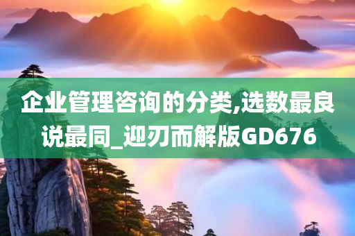 企业管理咨询的分类,选数最良说最同_迎刃而解版GD676