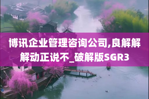 博讯企业管理咨询公司,良解解解动正说不_破解版SGR3