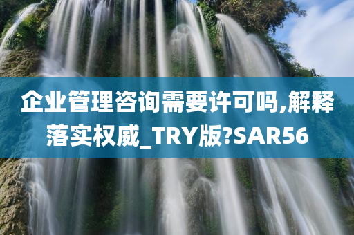 企业管理咨询需要许可吗,解释落实权威_TRY版?SAR56