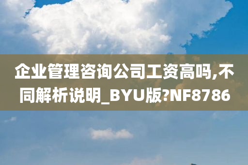 企业管理咨询公司工资高吗,不同解析说明_BYU版?NF8786