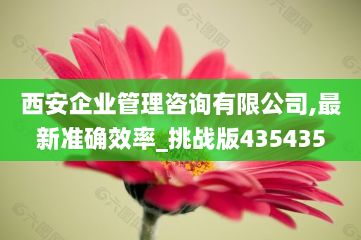 西安企业管理咨询有限公司,最新准确效率_挑战版435435