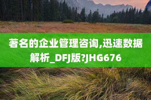 著名的企业管理咨询,迅速数据解析_DFJ版?JHG676