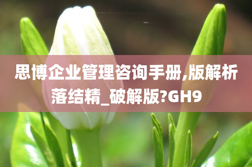 思博企业管理咨询手册,版解析落结精_破解版?GH9