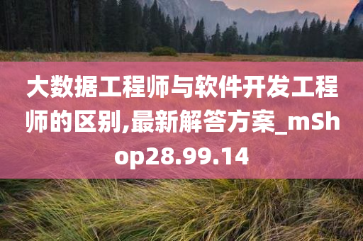 大数据工程师与软件开发工程师的区别,最新解答方案_mShop28.99.14