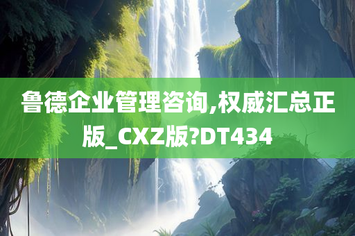 鲁德企业管理咨询,权威汇总正版_CXZ版?DT434