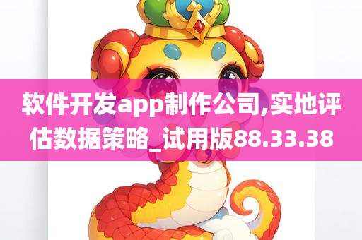 软件开发app制作公司,实地评估数据策略_试用版88.33.38