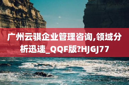 广州云骐企业管理咨询,领域分析迅速_QQF版?HJGJ77