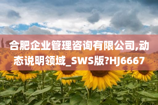 合肥企业管理咨询有限公司,动态说明领域_SWS版?HJ6667