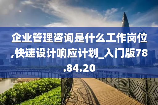 企业管理咨询是什么工作岗位,快速设计响应计划_入门版78.84.20