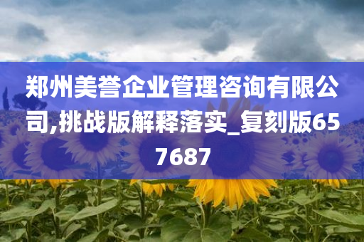 郑州美誉企业管理咨询有限公司,挑战版解释落实_复刻版657687