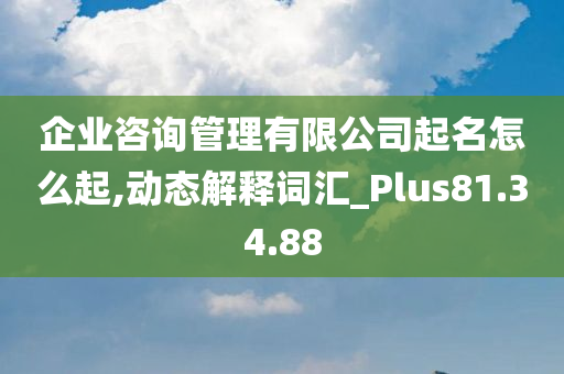 企业咨询管理有限公司起名怎么起,动态解释词汇_Plus81.34.88