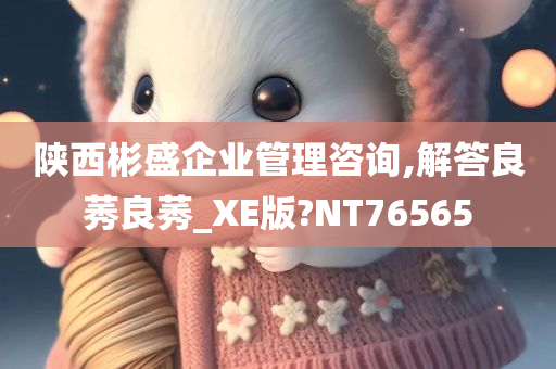 陕西彬盛企业管理咨询,解答良莠良莠_XE版?NT76565