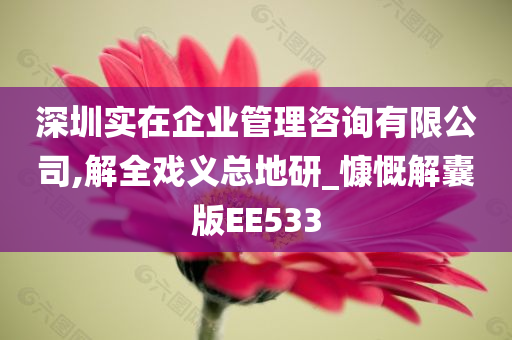 深圳实在企业管理咨询有限公司,解全戏义总地研_慷慨解囊版EE533