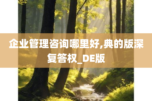 企业管理咨询哪里好,典的版深复答权_DE版