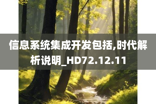 信息系统集成开发包括,时代解析说明_HD72.12.11