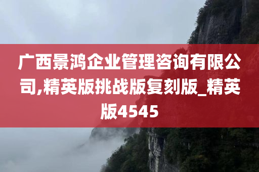 广西景鸿企业管理咨询有限公司,精英版挑战版复刻版_精英版4545